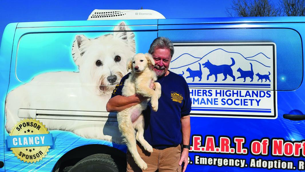 Cashiers-Highlands Humane Society undertakes massive puppy rescue |  Crossroads Chronicle, Cashiers, North Carolina